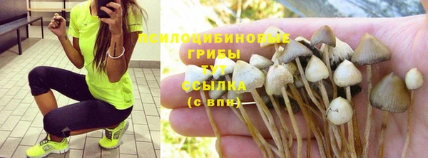 крисы Алексин
